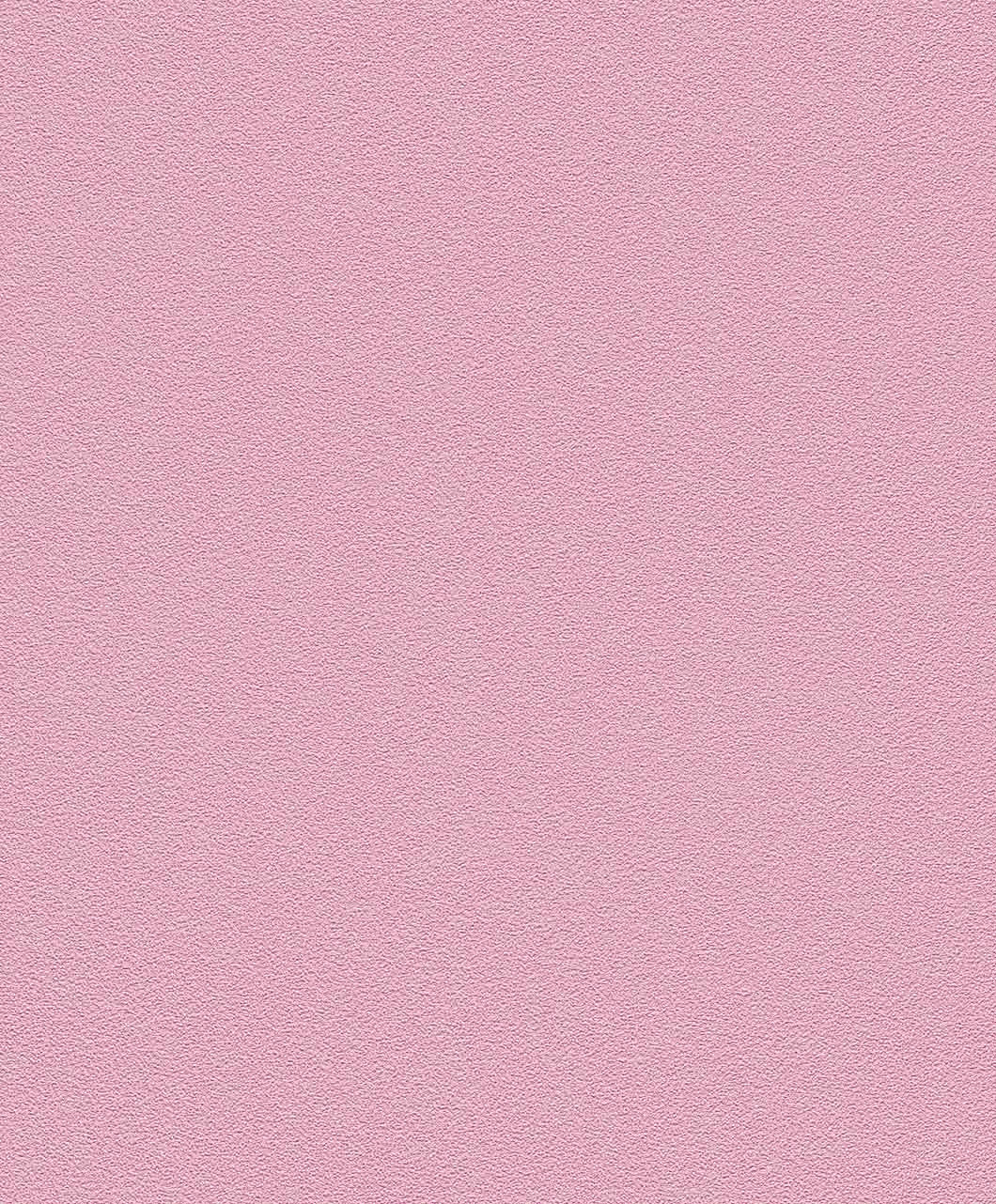 Lavender - HD Wallpaper 