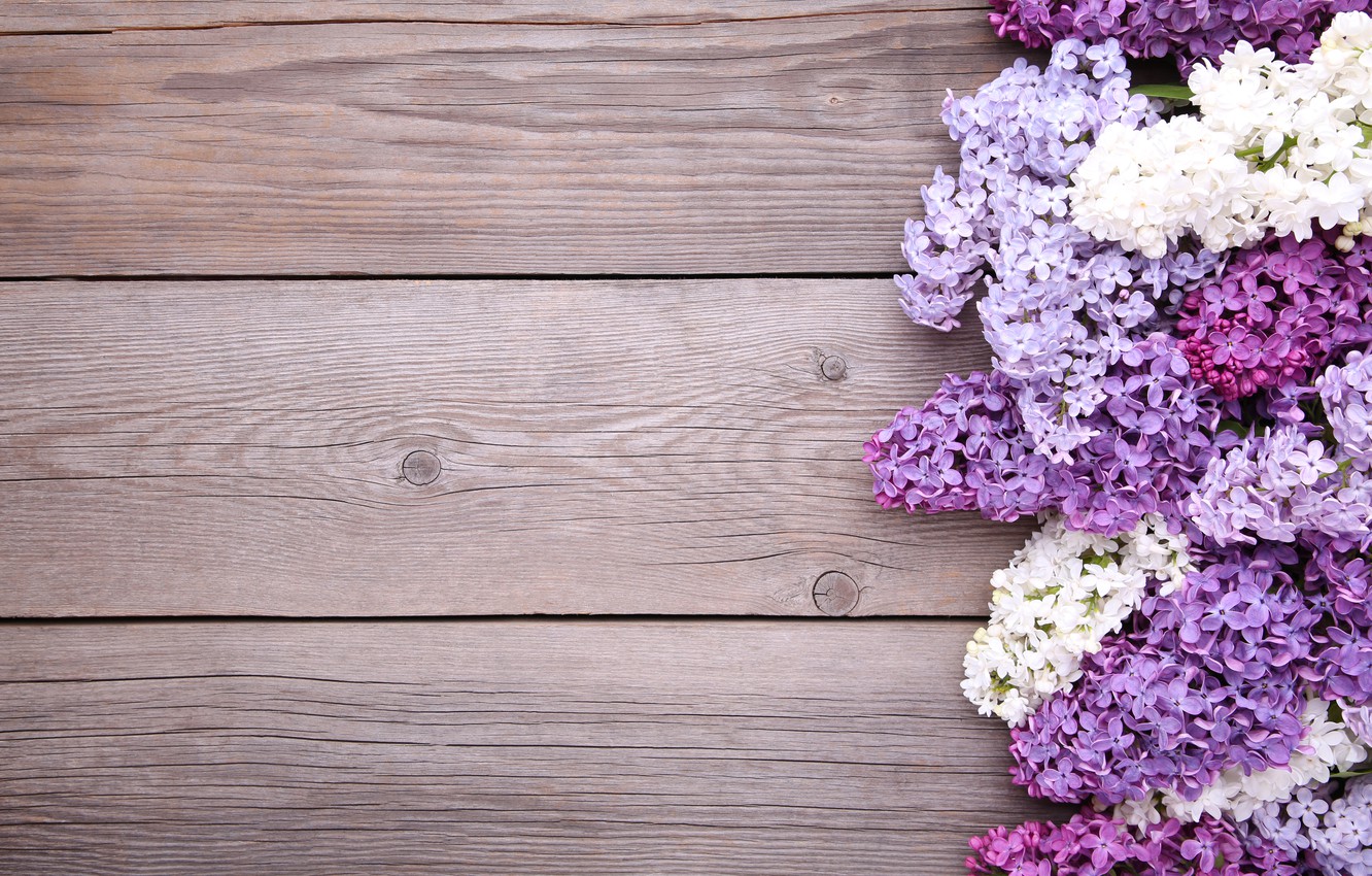 Photo Wallpaper Flowers, Background, Wood, Flowers, - Background Wood Flower Free - HD Wallpaper 