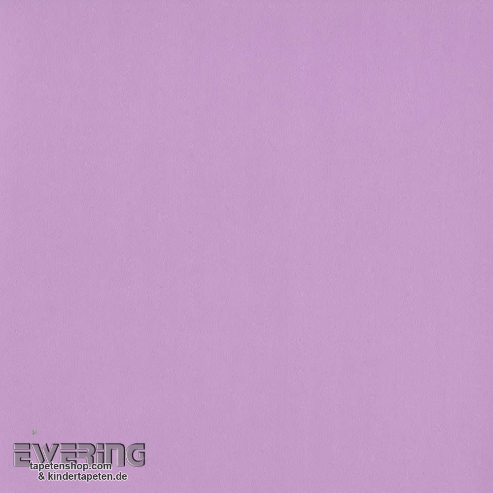 Lilac - HD Wallpaper 