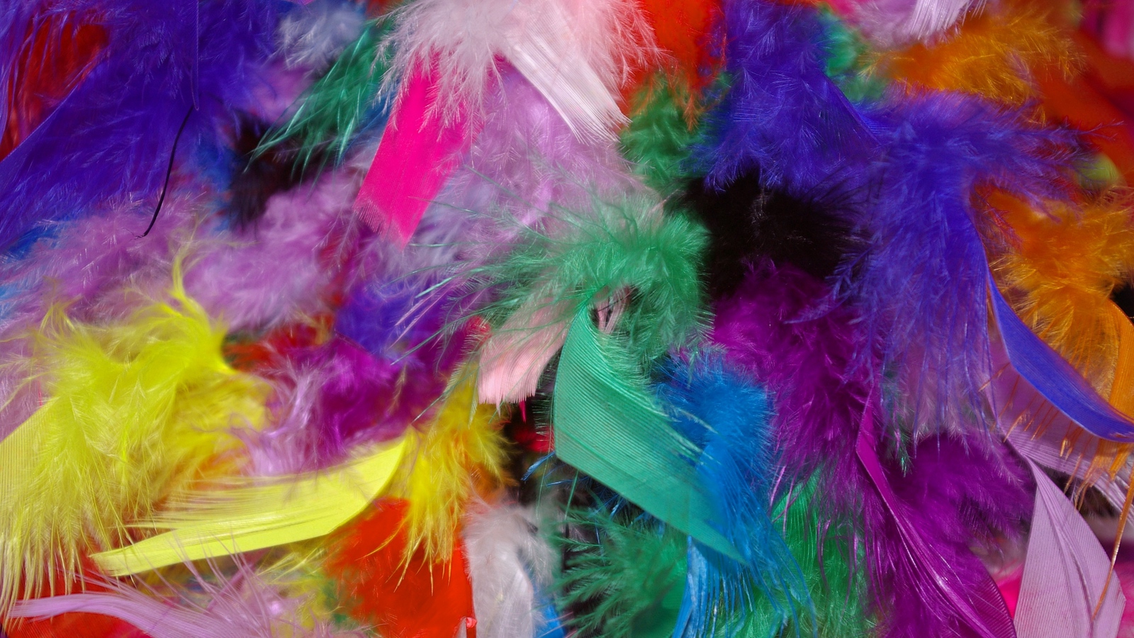 Wallpaper Feathers, Background, Colorful - Colorful Feathers Hd - HD Wallpaper 