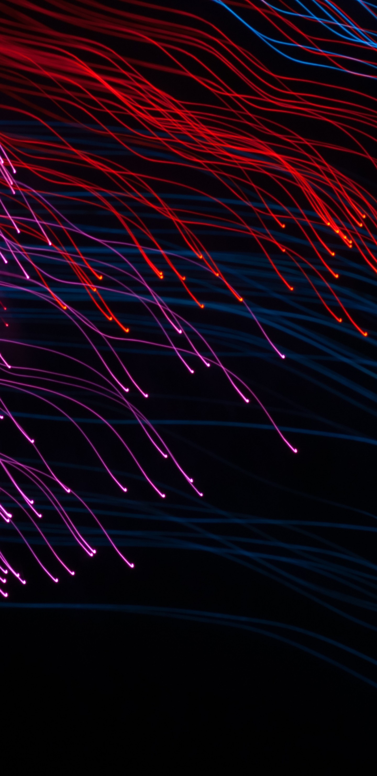 Line Rain, Red And Purple - Colorfulness - HD Wallpaper 