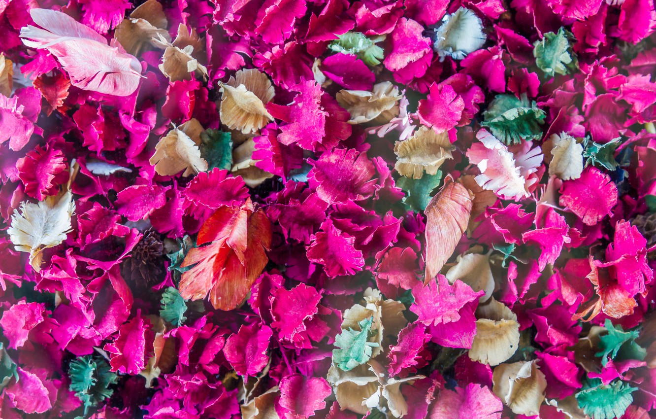 Photo Wallpaper Leaves, Petals, Colorful, Dry, Leaves, - Floral Design - HD Wallpaper 