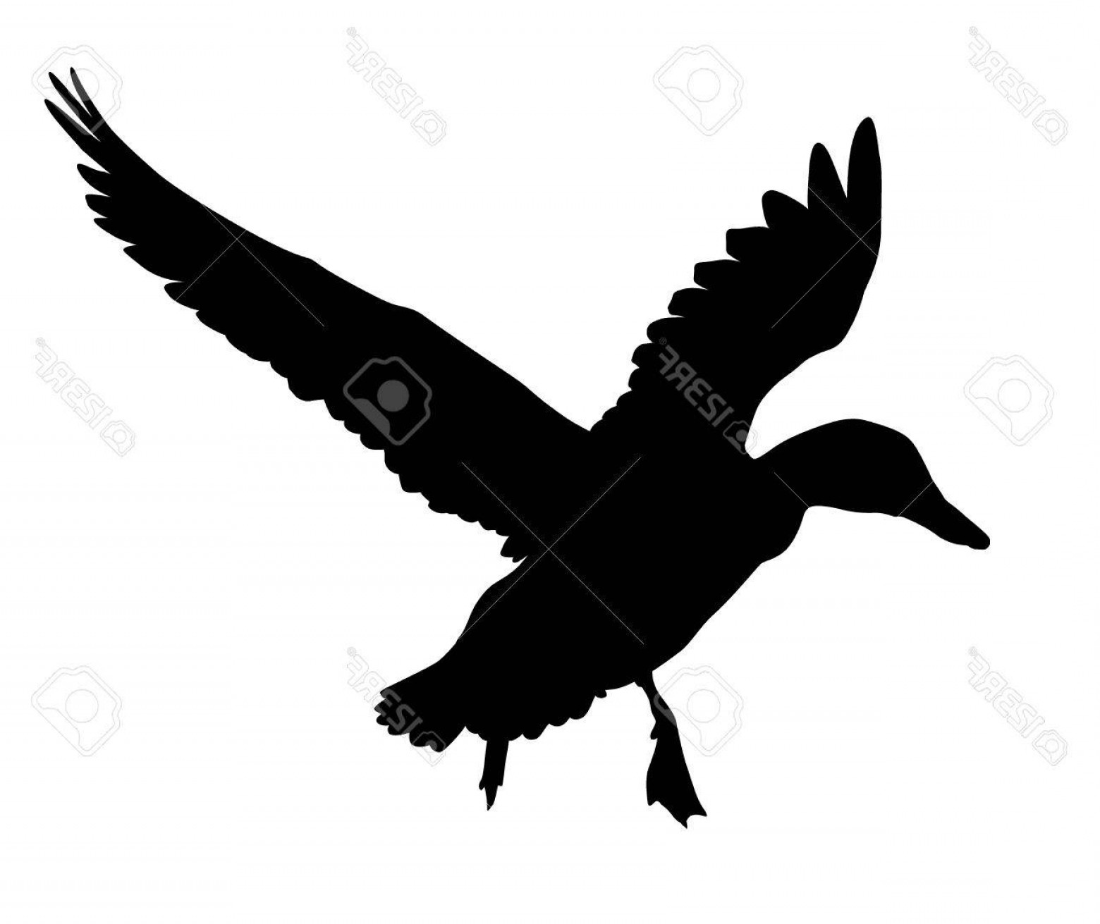 Flying Duck Outline Vector - Duck Silhouette Vectors - HD Wallpaper 