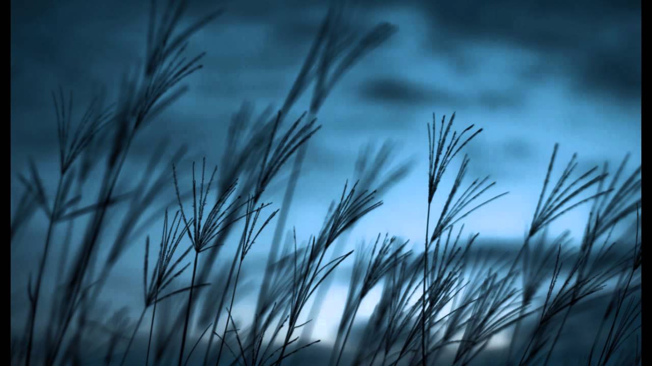 Tearing Up Soul - HD Wallpaper 