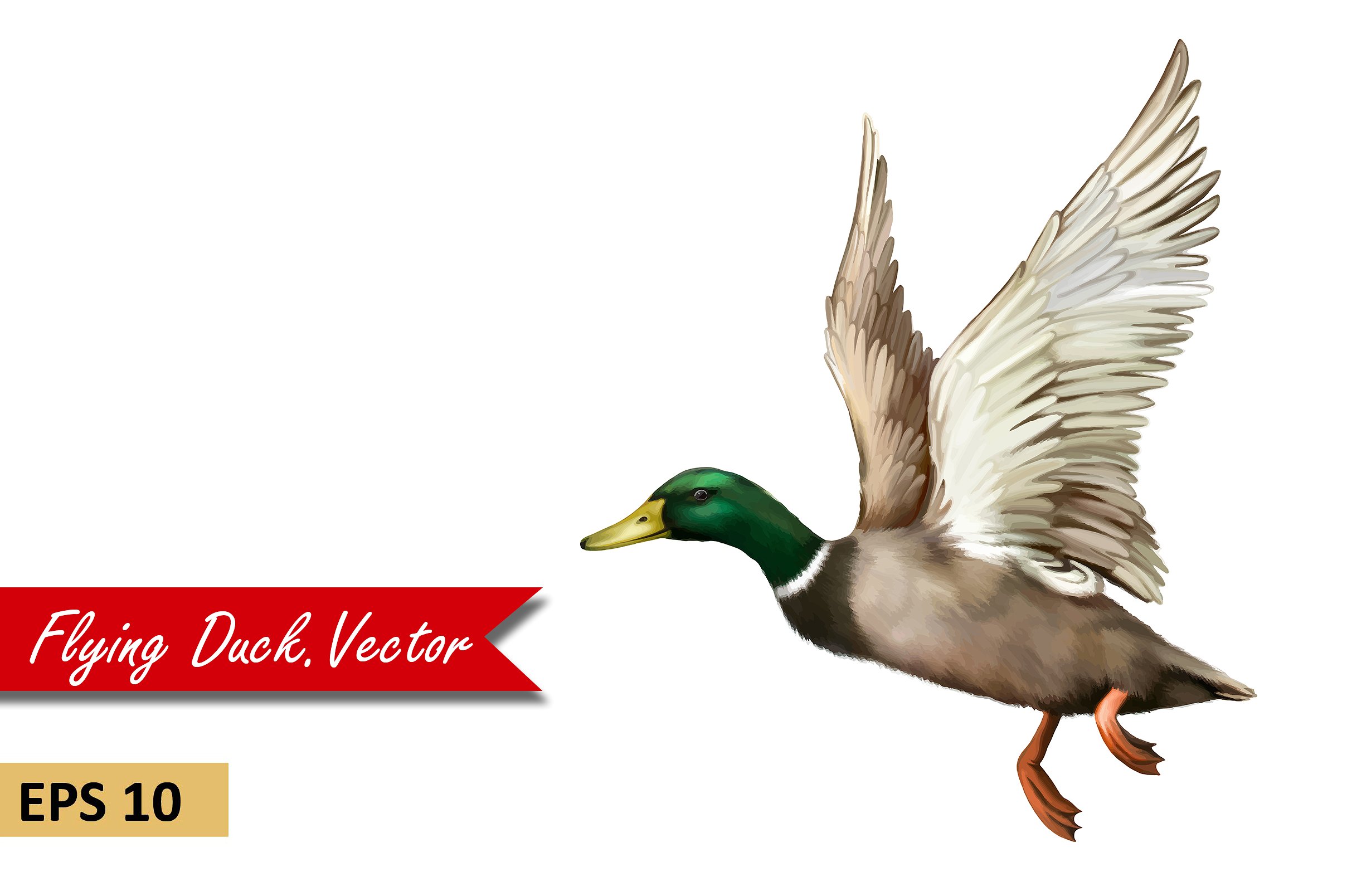 Mallard Ducks Flying Photo - HD Wallpaper 