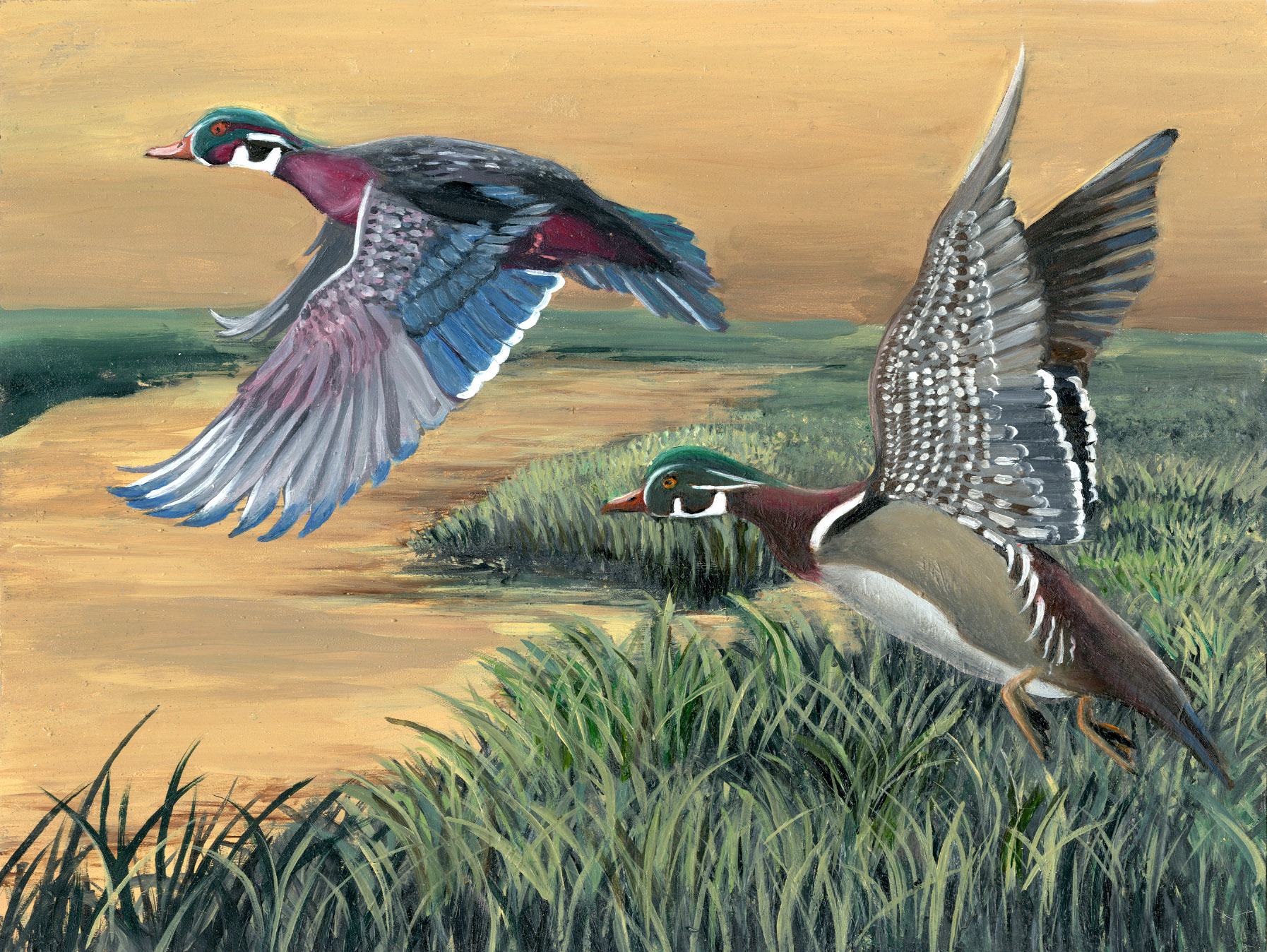 Junior Duck Stamp Art Contest Education New Hampshire - HD Wallpaper 