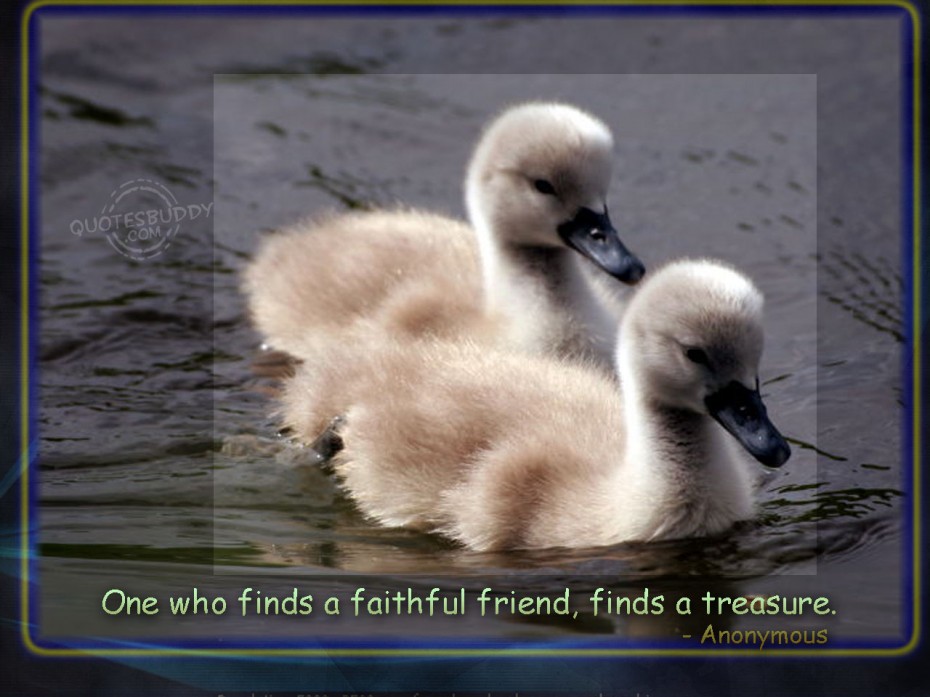 And Pictures - Best Friend Quotes - HD Wallpaper 