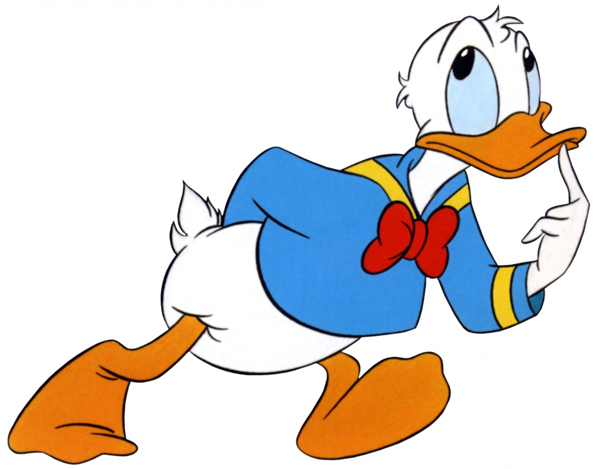 Donald Duck Cartoon Wallpaper Hd For Mobile - Transparent Background Donald Duck Png - HD Wallpaper 