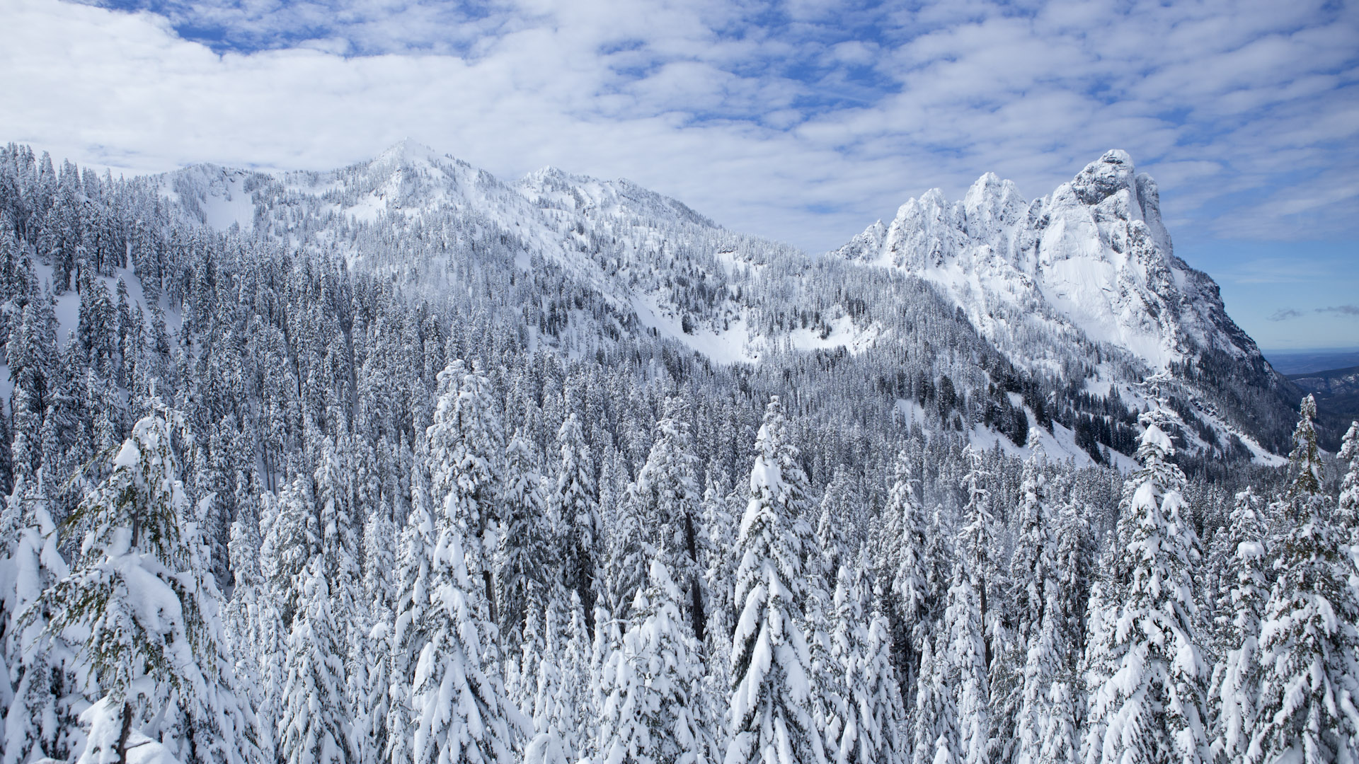 Nomadic Creative Has Re-located To Western Washington - Washington State Winter - HD Wallpaper 