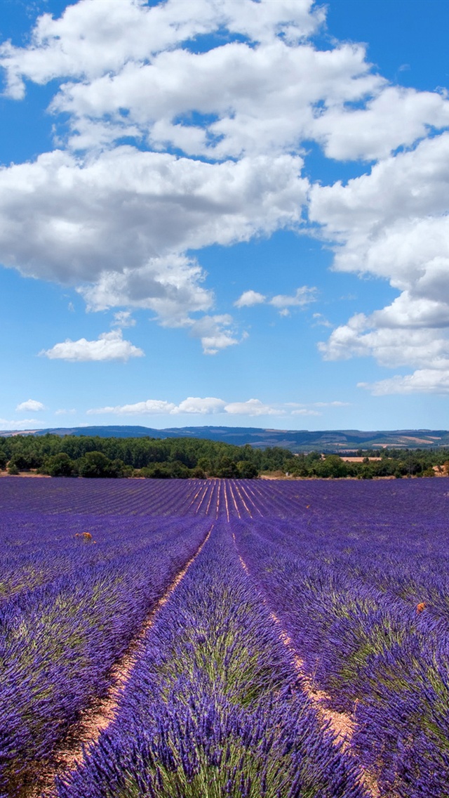 Provence Iphone - HD Wallpaper 