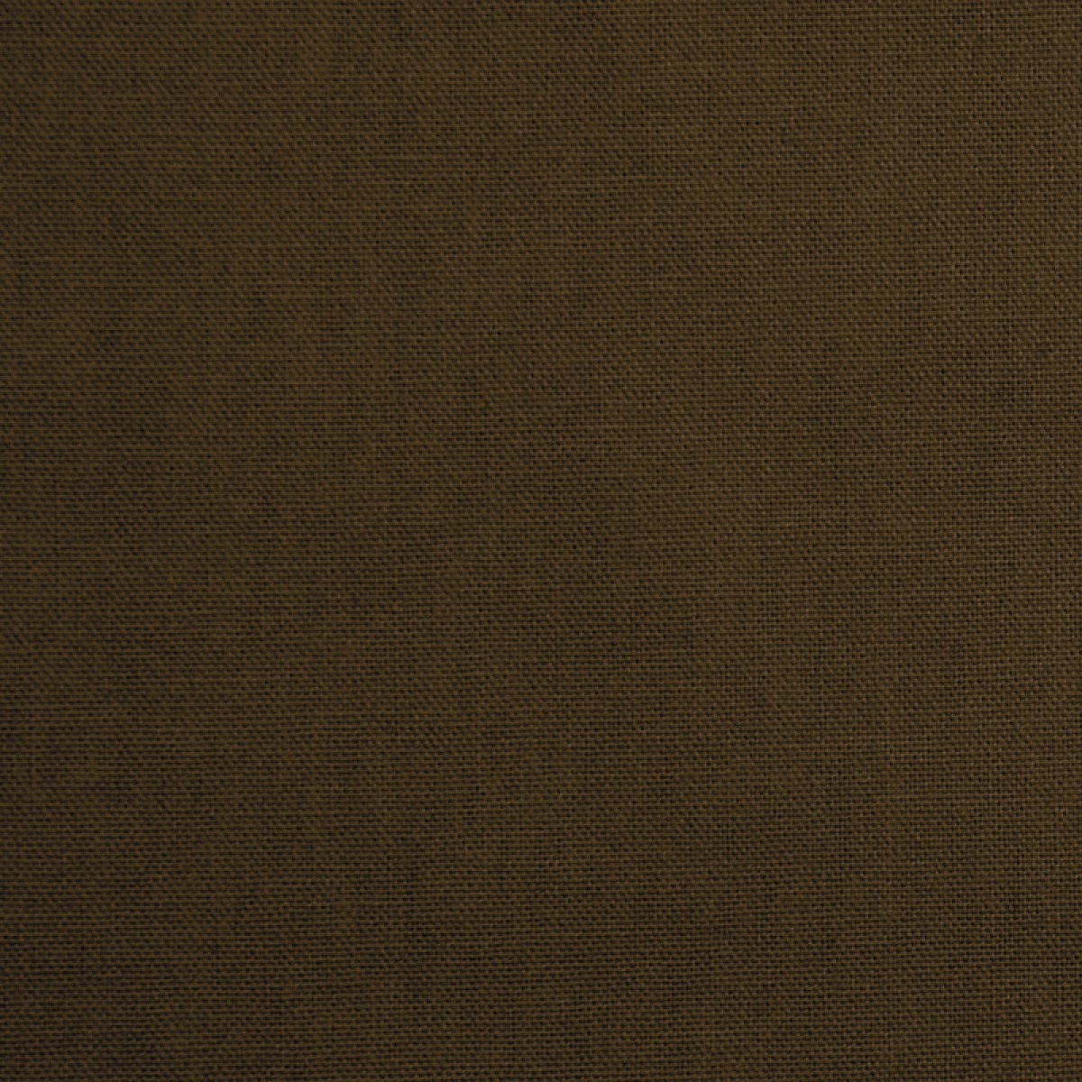 Daffy/mocha - Ivory - HD Wallpaper 