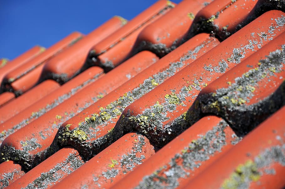 Roof, Tile, Clay Tiles, Pantile, Red, Diagonal, Terracotta, - Alger På Tag - HD Wallpaper 