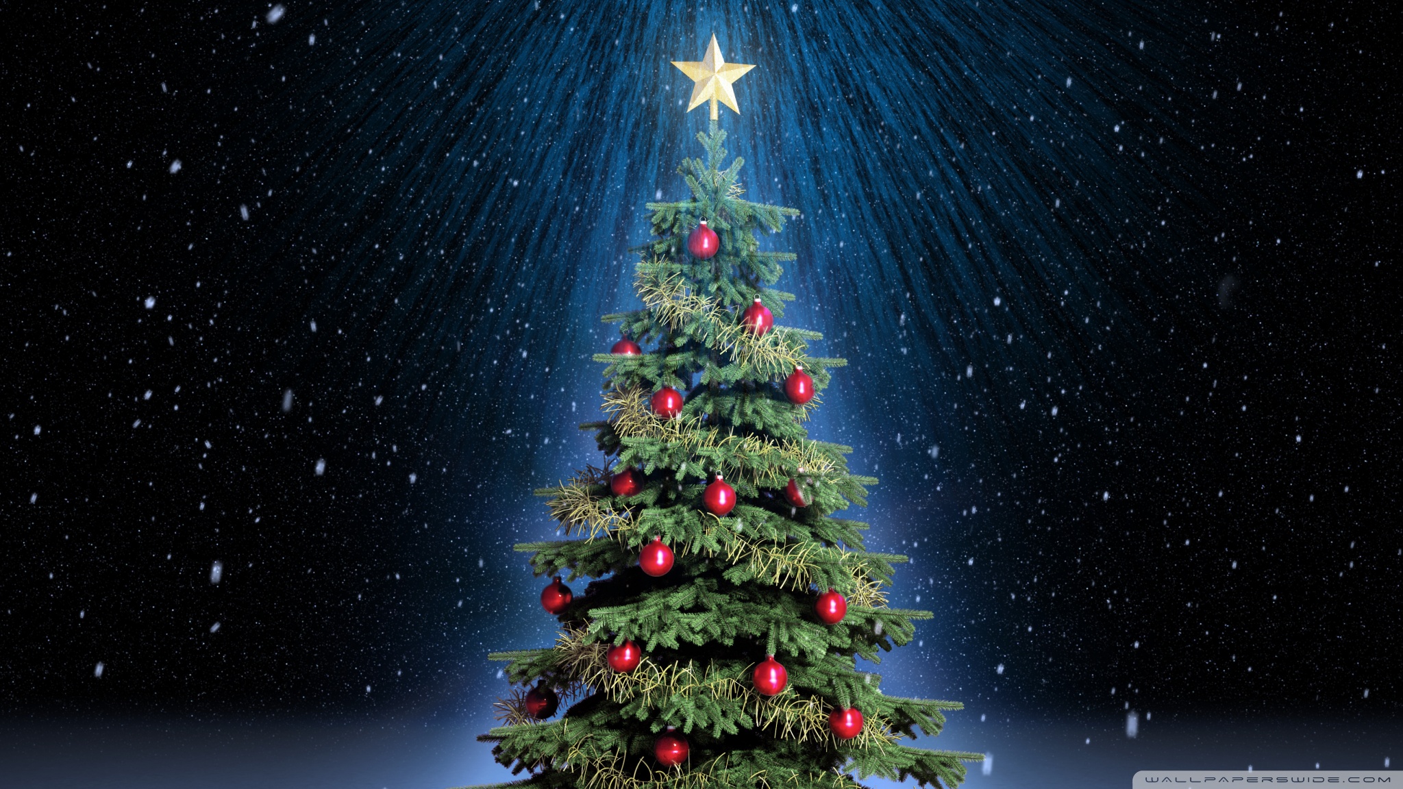 Christmas Tree Images Hd - HD Wallpaper 