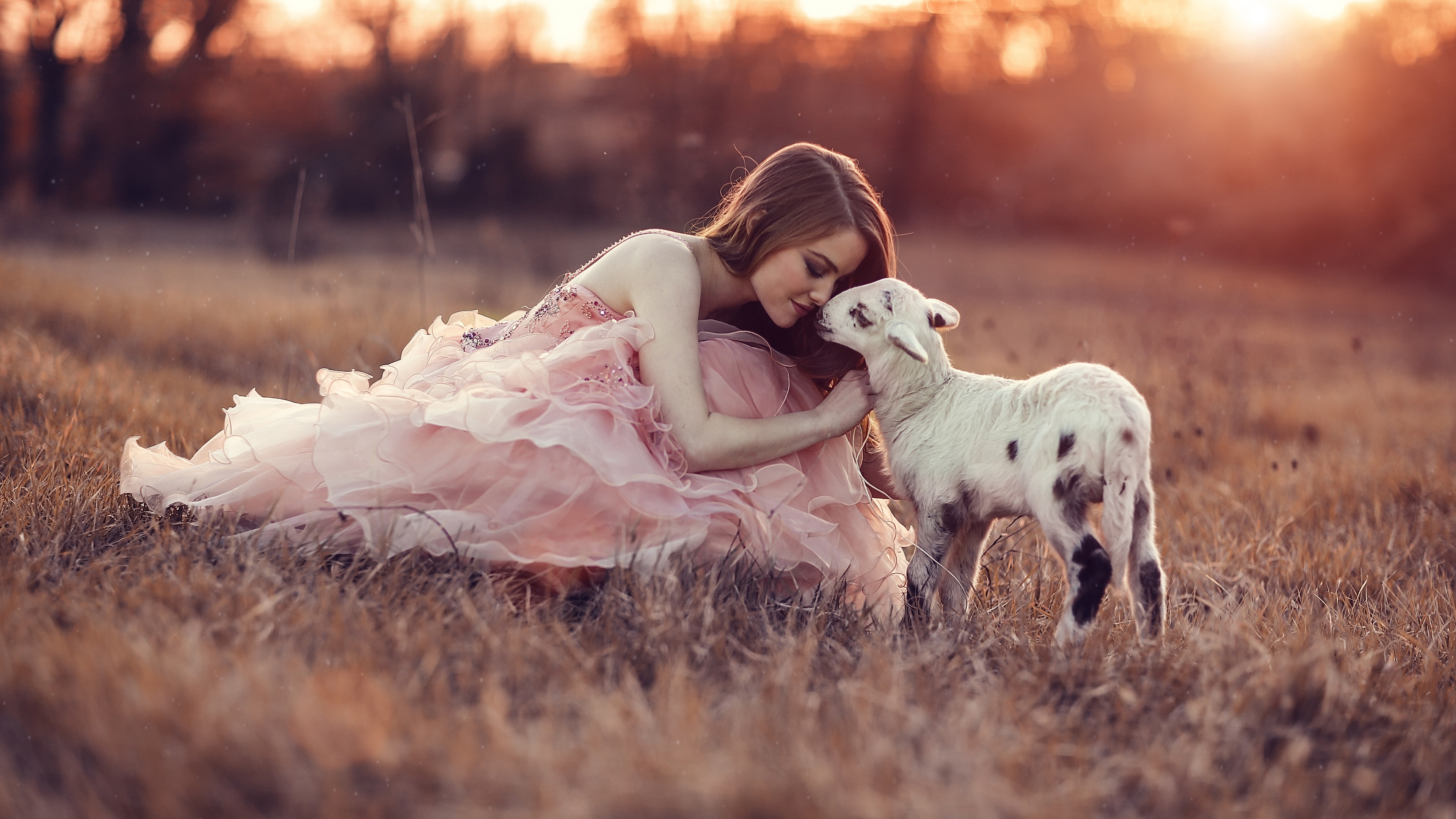 Wallpaper Pink Dress Girl With Sheep, Grass, Sunset - Pooja My Best Friend - HD Wallpaper 