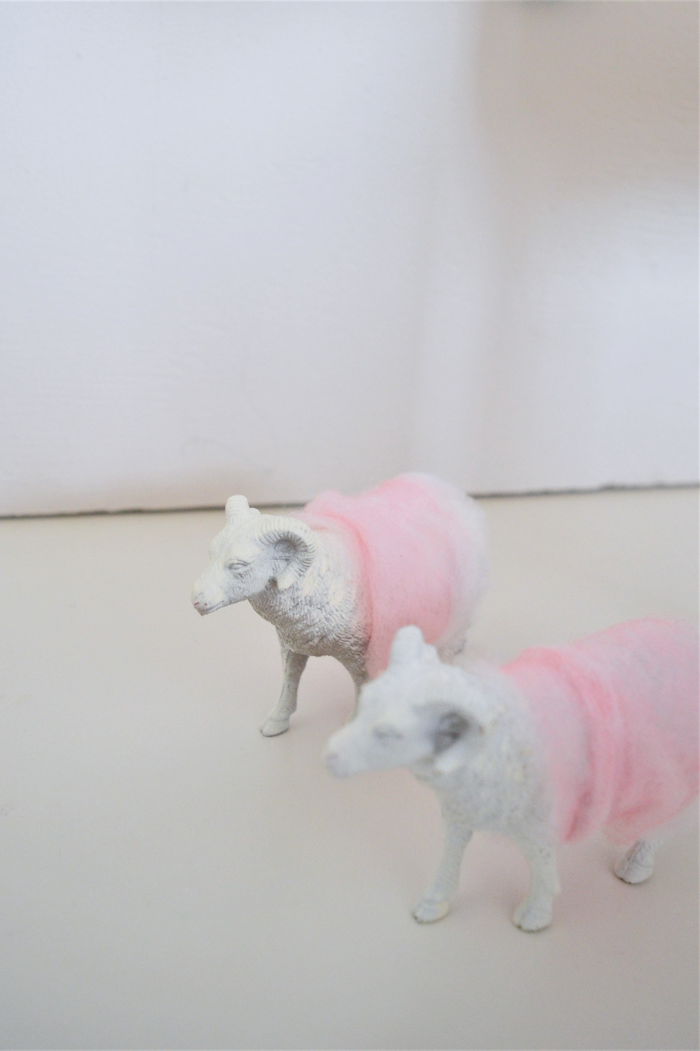 Pink Sheep - Domestic Pig - HD Wallpaper 