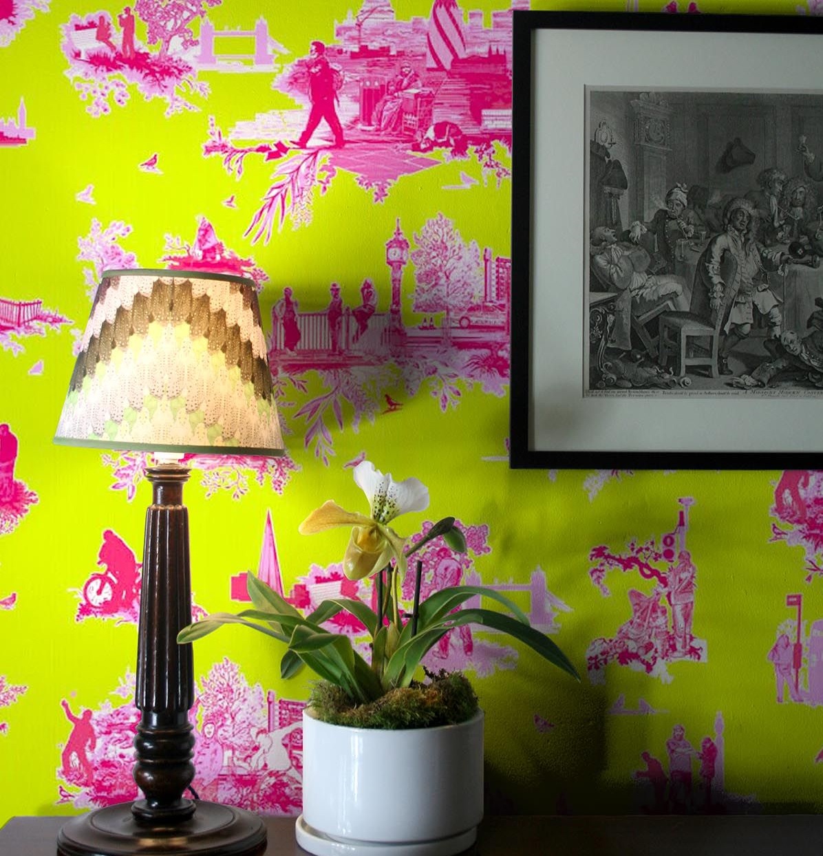 Timorous Beasties - HD Wallpaper 