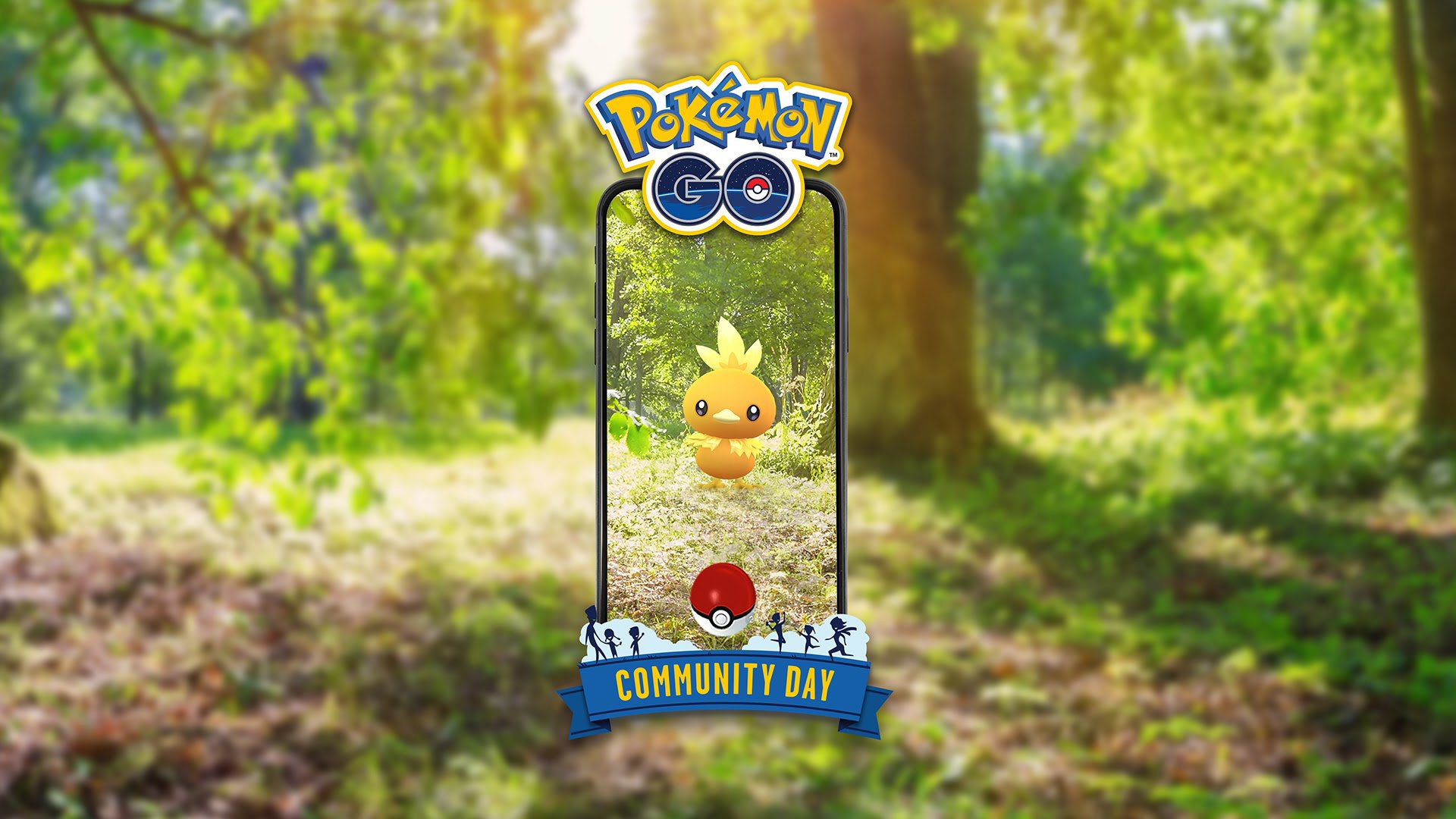 Pokemon Go Torchic Community Day - HD Wallpaper 