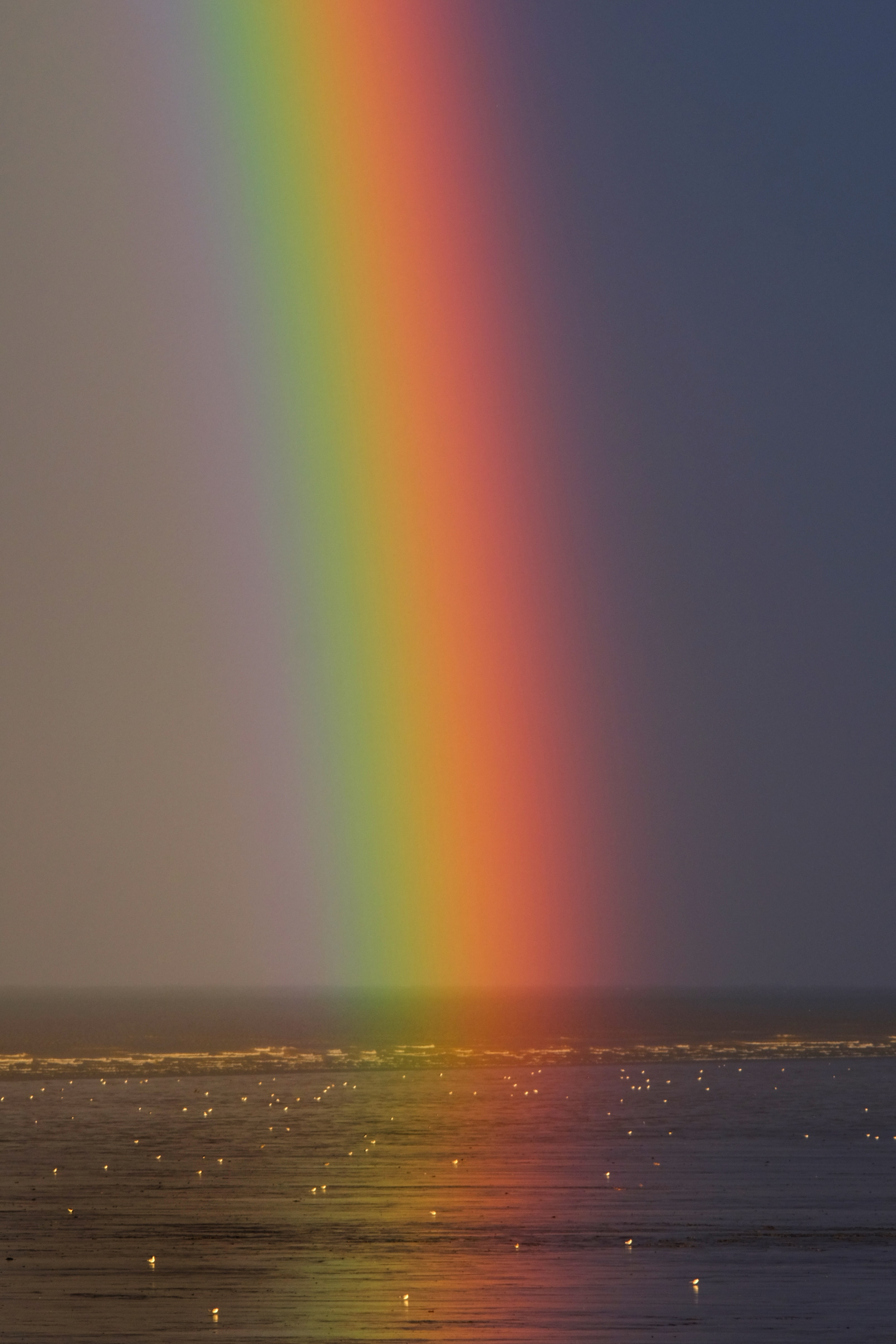 Rainbow - HD Wallpaper 