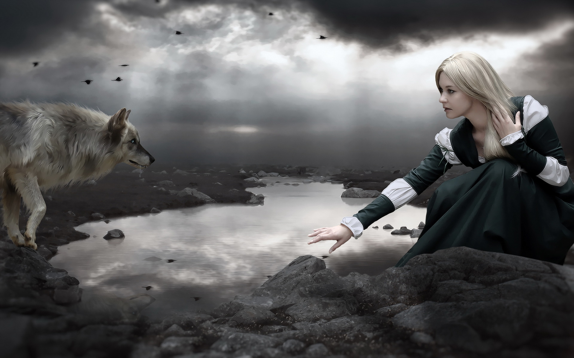 Wallpaper Of Wolf & Girl, Photomanipulation Background - Girls Wolf - HD Wallpaper 
