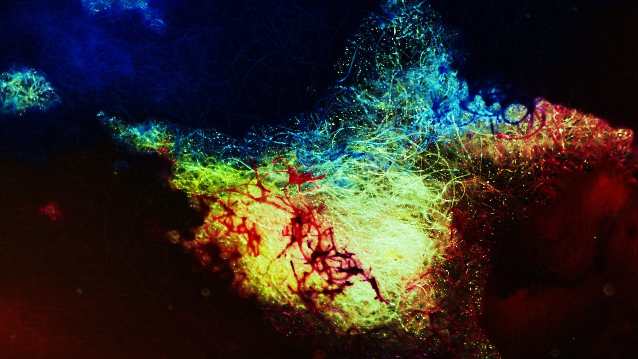 1440 Backgrounds - HD Wallpaper 