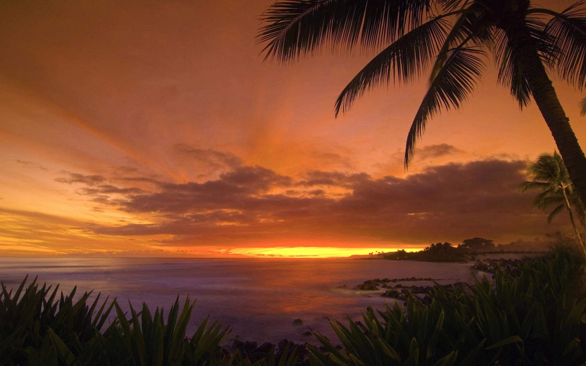 Beautiful Sunset Beach - HD Wallpaper 