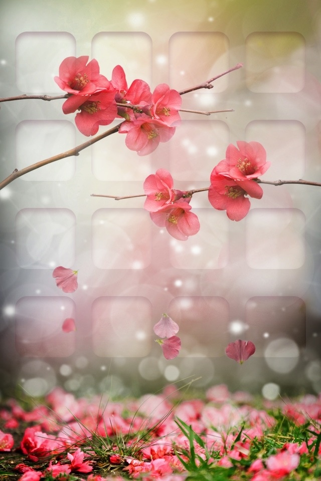 Spring Home Screen - HD Wallpaper 