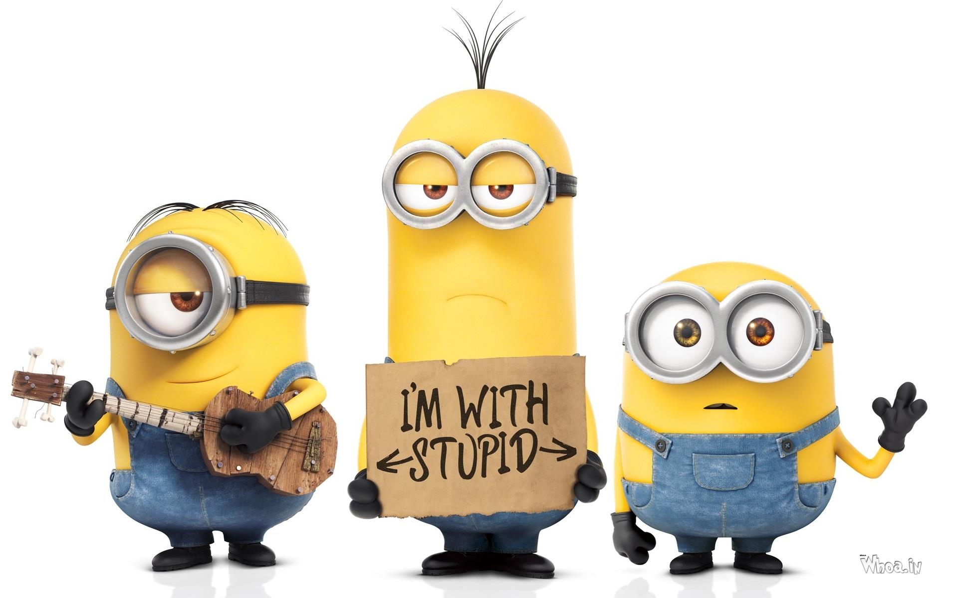 3 Minions I M With Stupid Hd Cartoon Fun Wallpaper - Minions Desktop - HD Wallpaper 