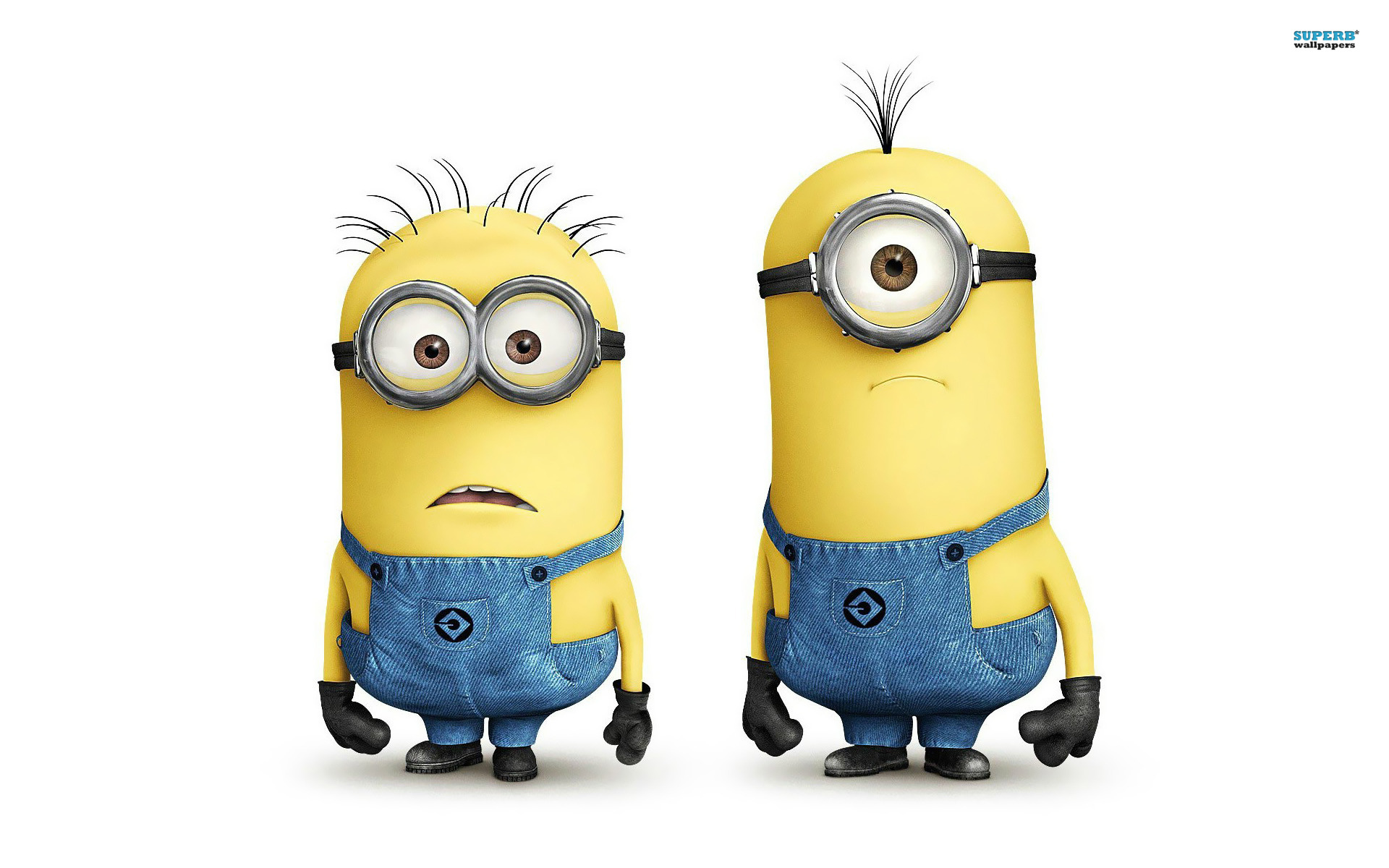 High Quality Minion Despicable Me Wallpaper - Despicable Me Cartoon - HD Wallpaper 