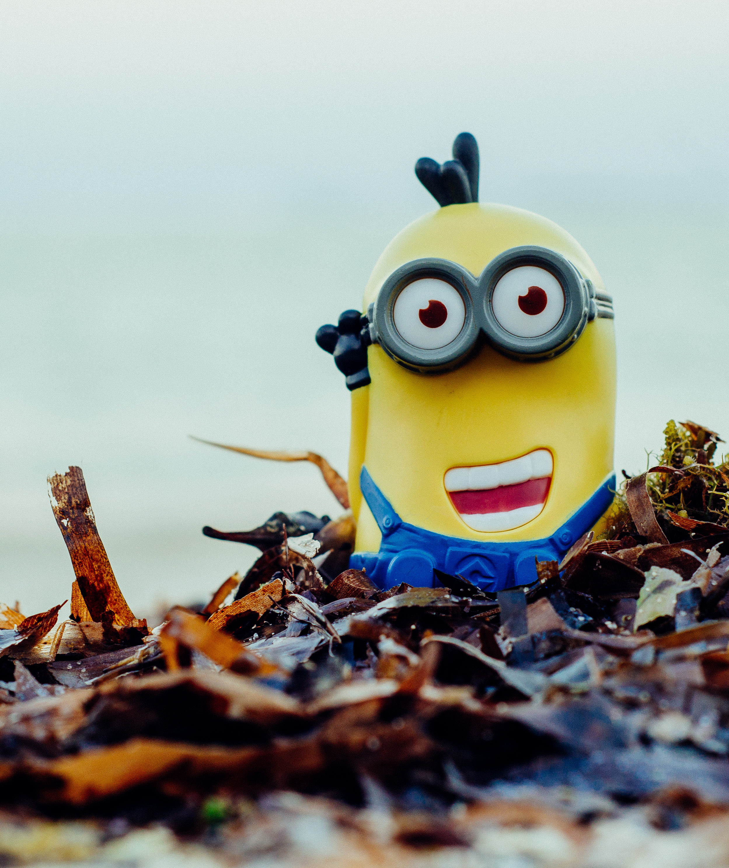 For Android - Minion Weed Hd Wallpaper For Iphone - HD Wallpaper 