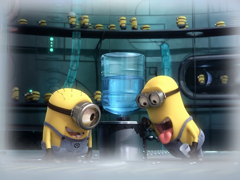 Despicable Me Minions Water Cooler - HD Wallpaper 