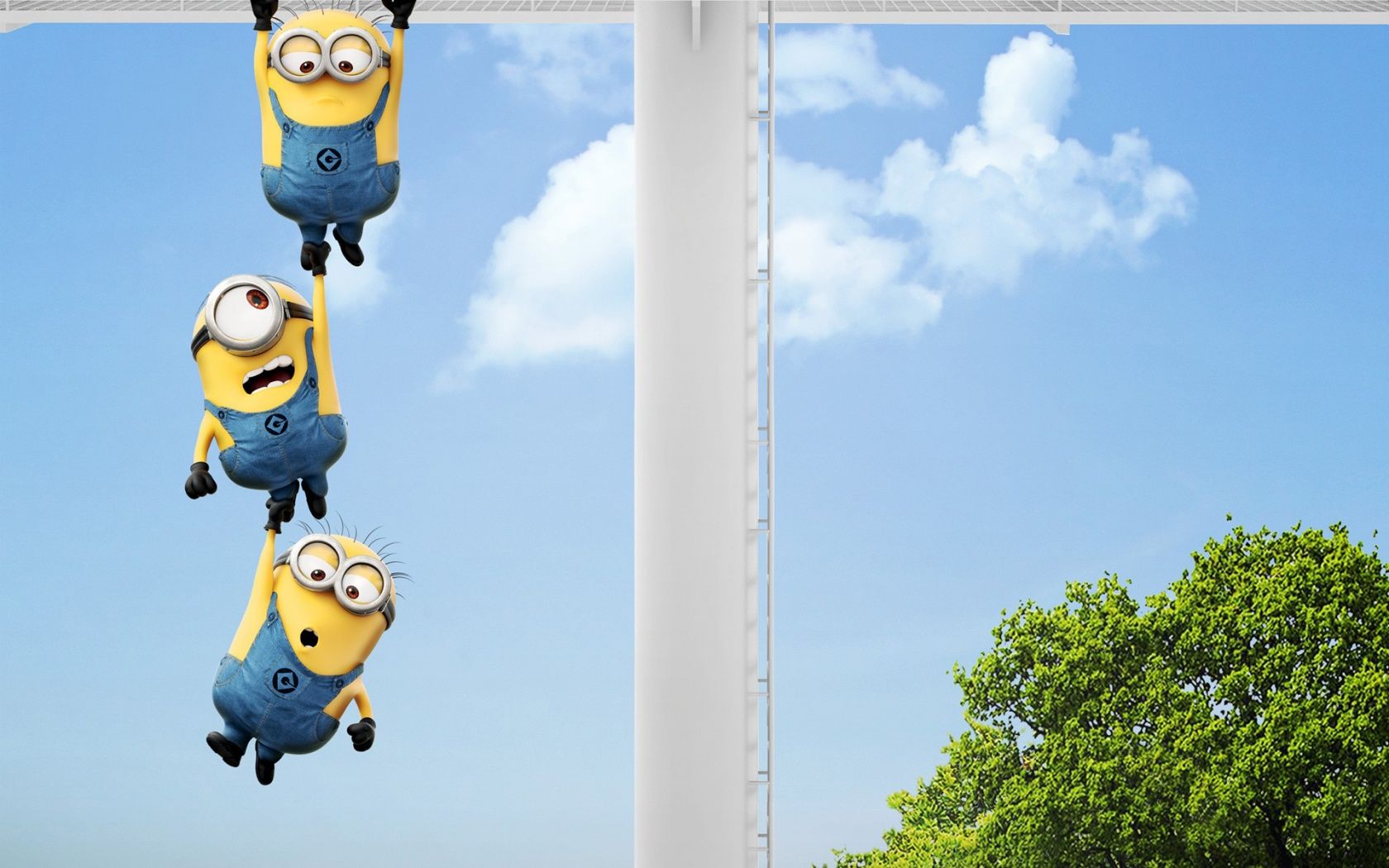 Minion Despicable Me Wallpaper - Minion Desktop Backgrounds - HD Wallpaper 