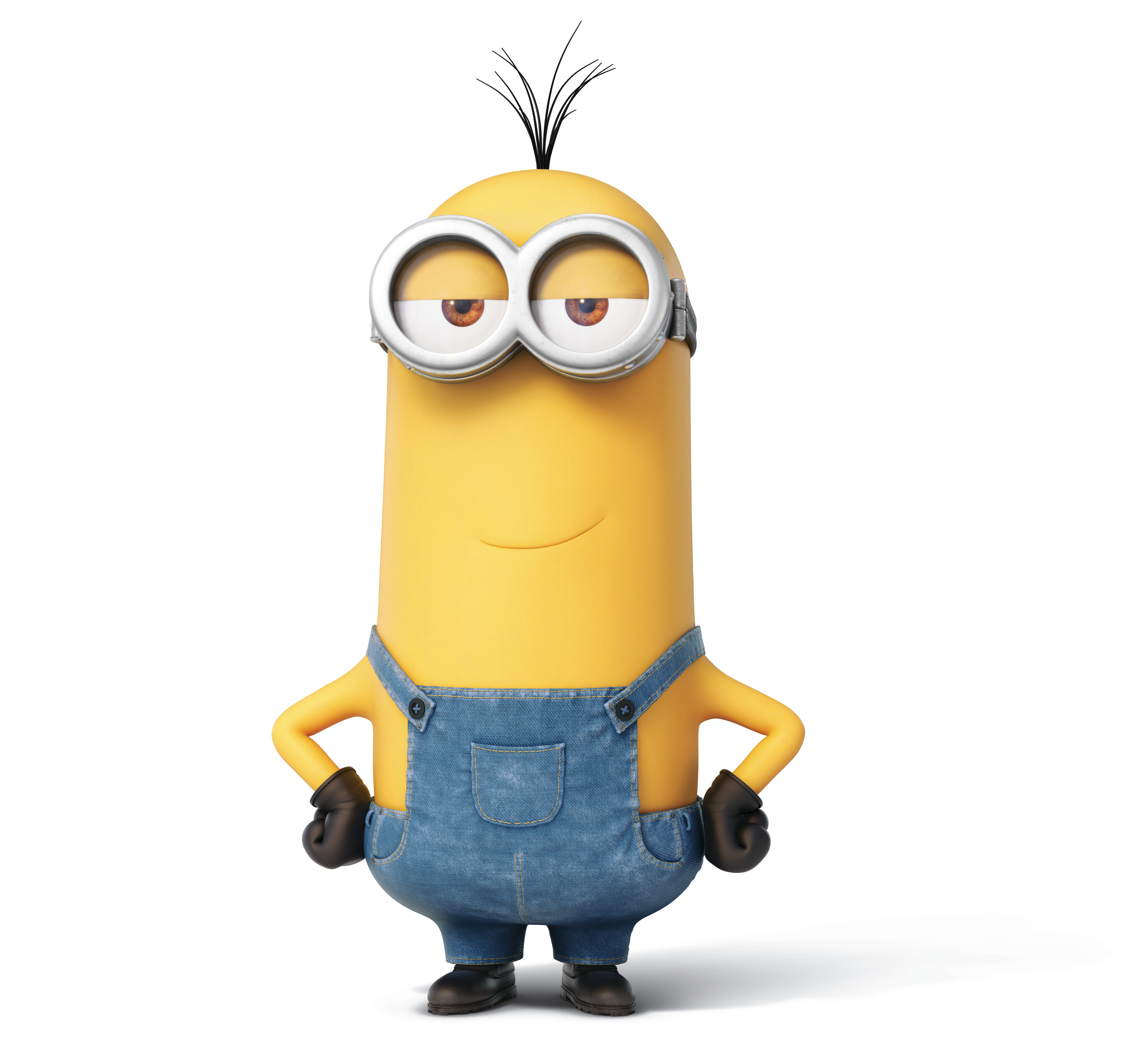 Nice Wallpapers Minions 4284x4000px - Minion Kevin - HD Wallpaper 