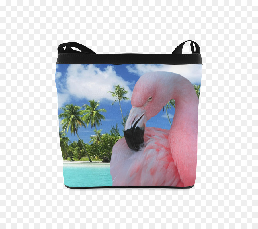 Playas Hd - HD Wallpaper 