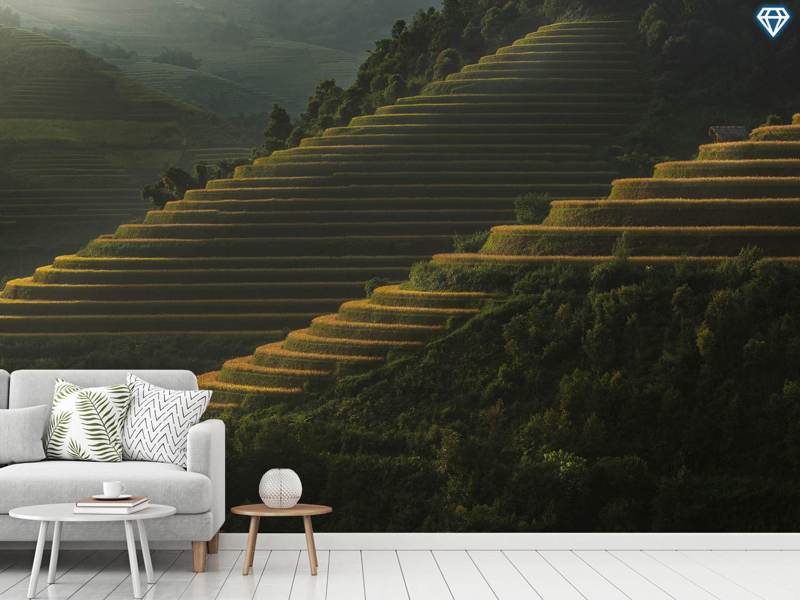 Photo Wallpaper Landing Fields At Sunrise Beautiful - HD Wallpaper 