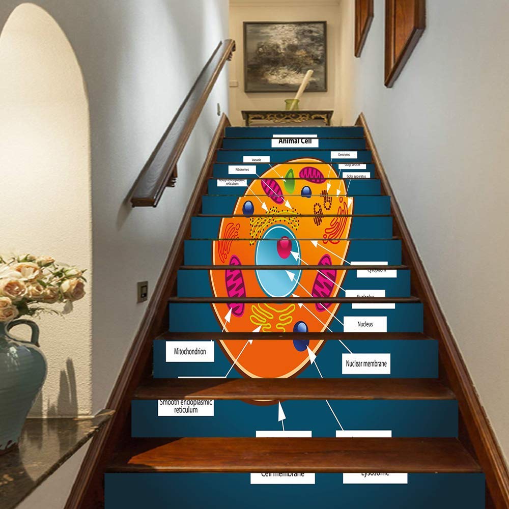 Educational Staircase - 1000x1000 Wallpaper - teahub.io