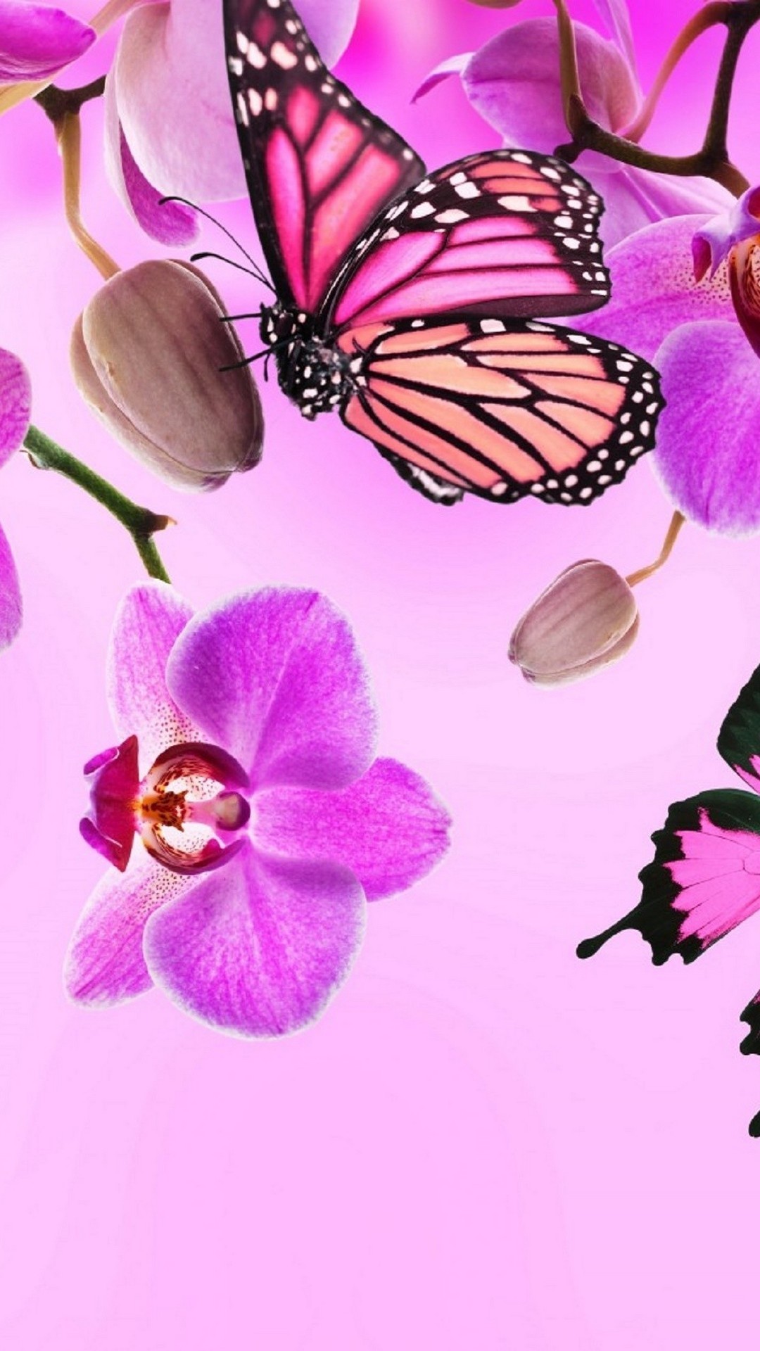 Android Wallpapers 
 Data Src New Pink Butterflies - Pink Butterfly - HD Wallpaper 