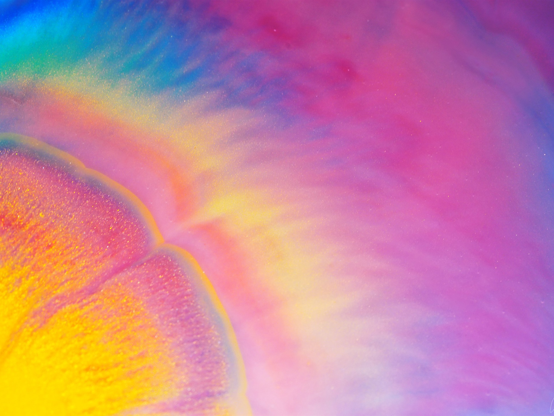 Close-up - HD Wallpaper 