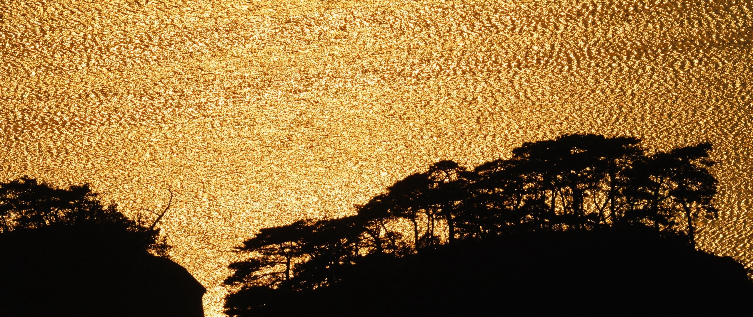 Wallpaper Water, Glitter, Trees - Wallpaper - HD Wallpaper 