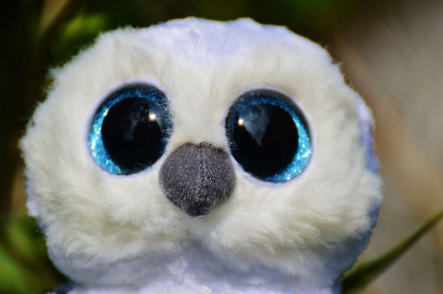 Snowy Owl, White, Bird, Feather, Glitter Eyes, Stuffed - Birds - HD Wallpaper 