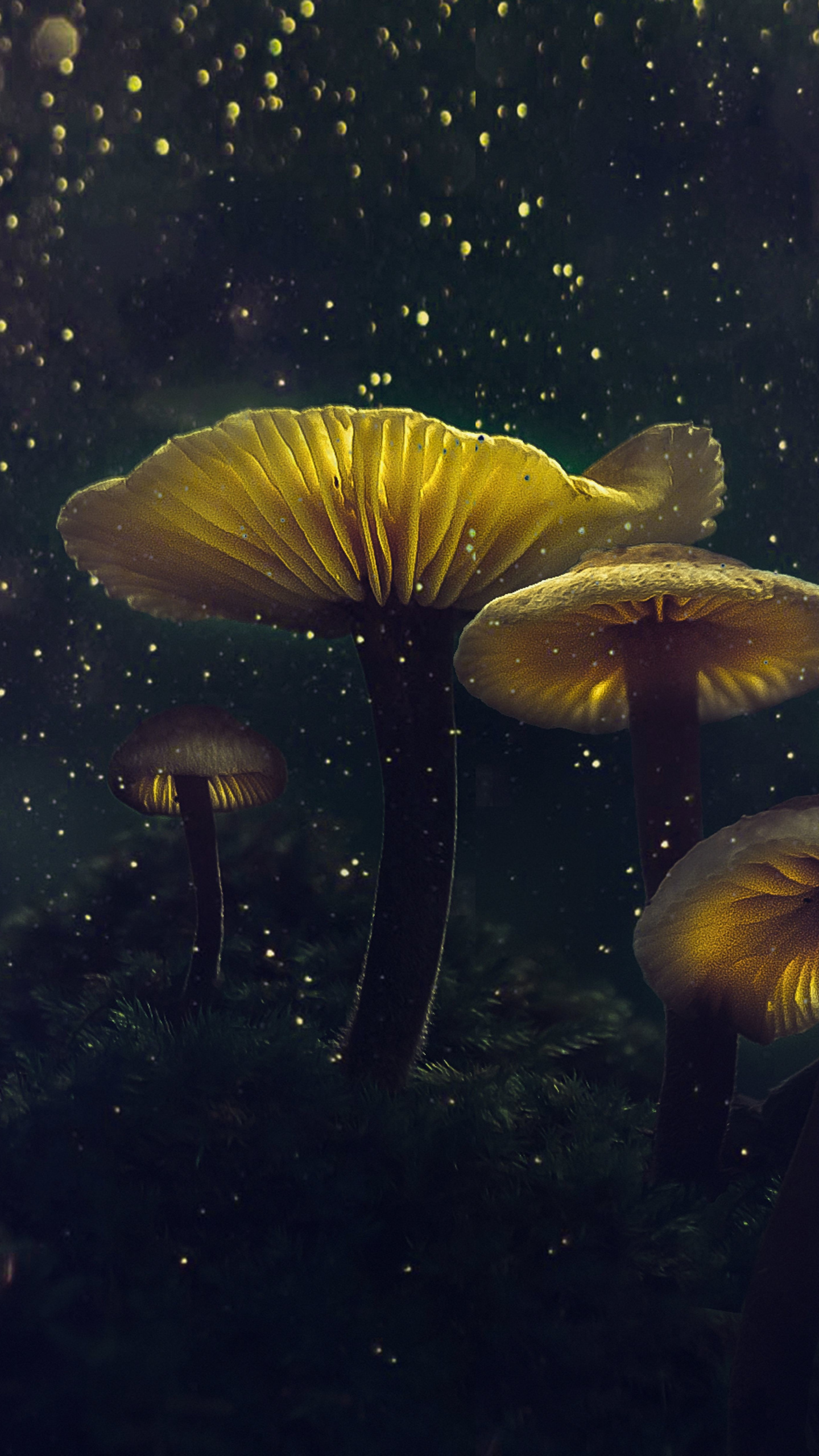 Mushroom, Yellow Glow, Flower Top, Glitter, Wallpaper - Mushroom Wallpaper Iphone - HD Wallpaper 