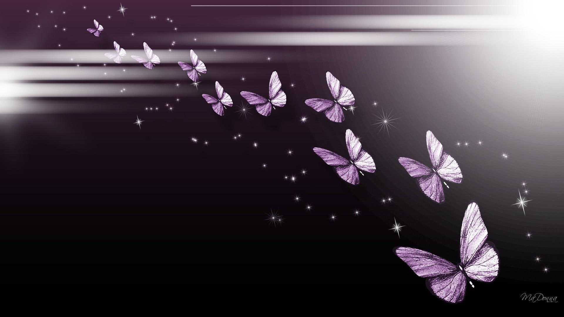 Desktop Wallpaper Purple Butterfly - HD Wallpaper 