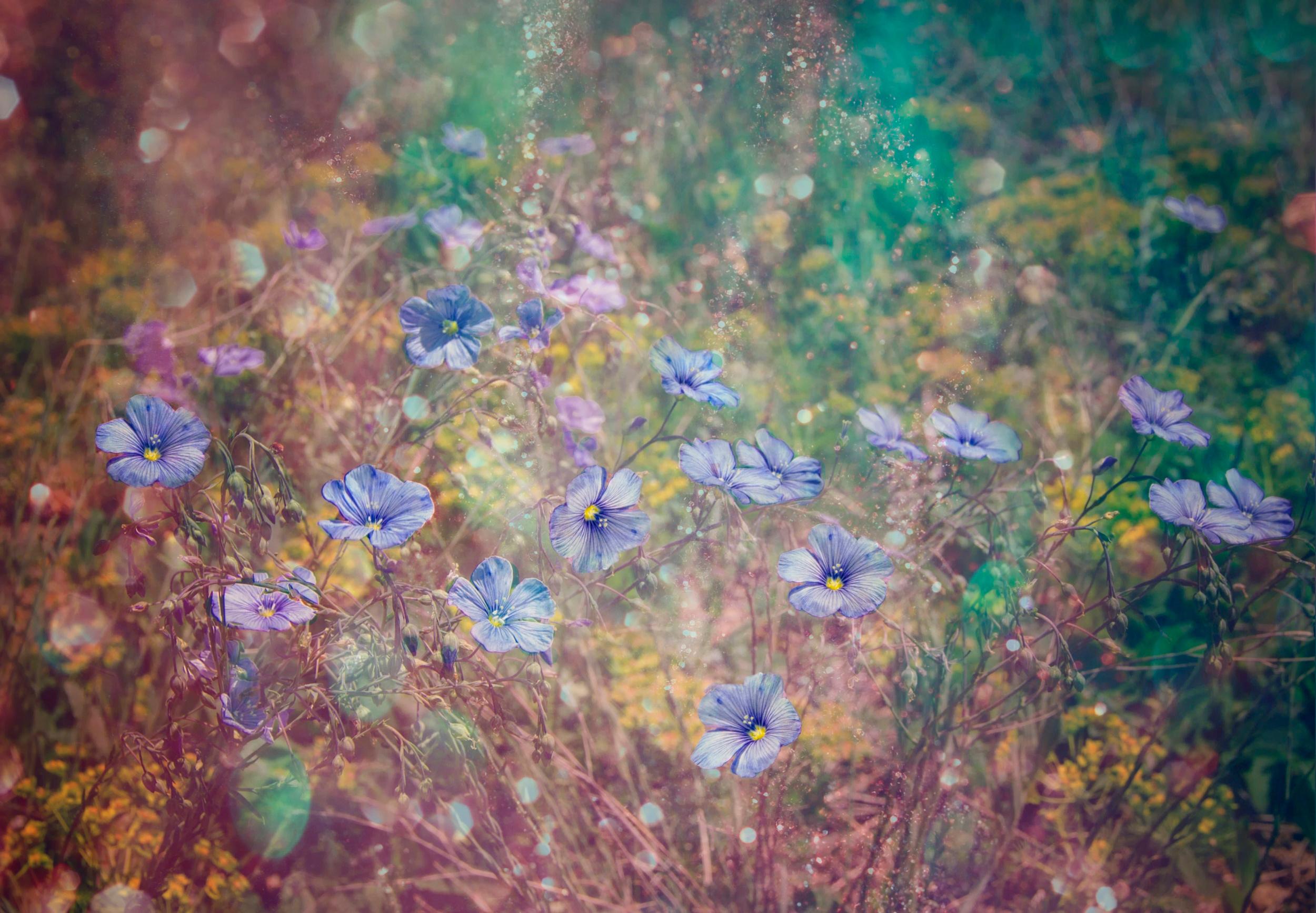Wallpaper - HD Wallpaper 
