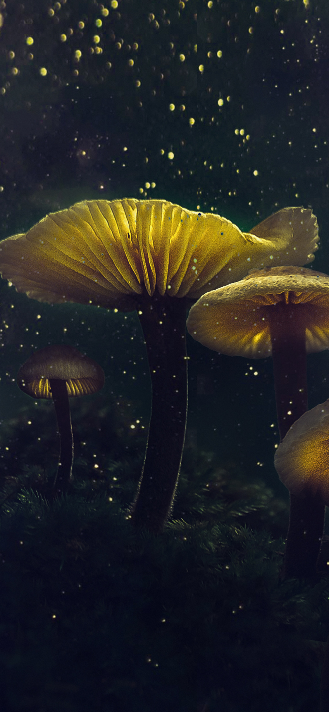 Glitter - HD Wallpaper 