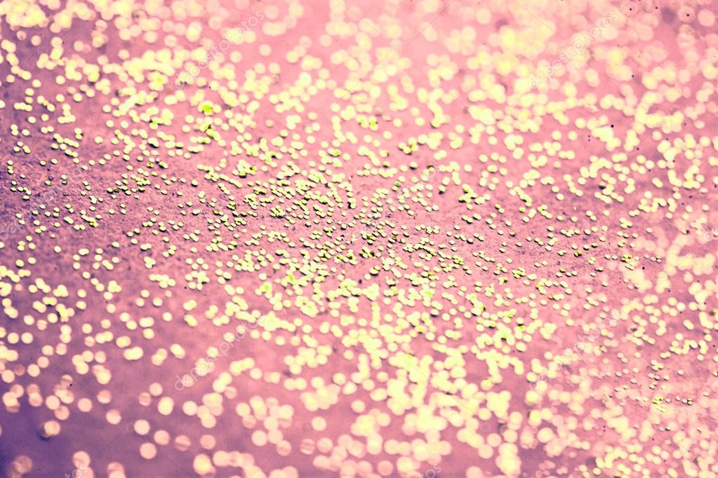 Brillo Fondo De Pantalla - 1023x682 Wallpaper - teahub.io