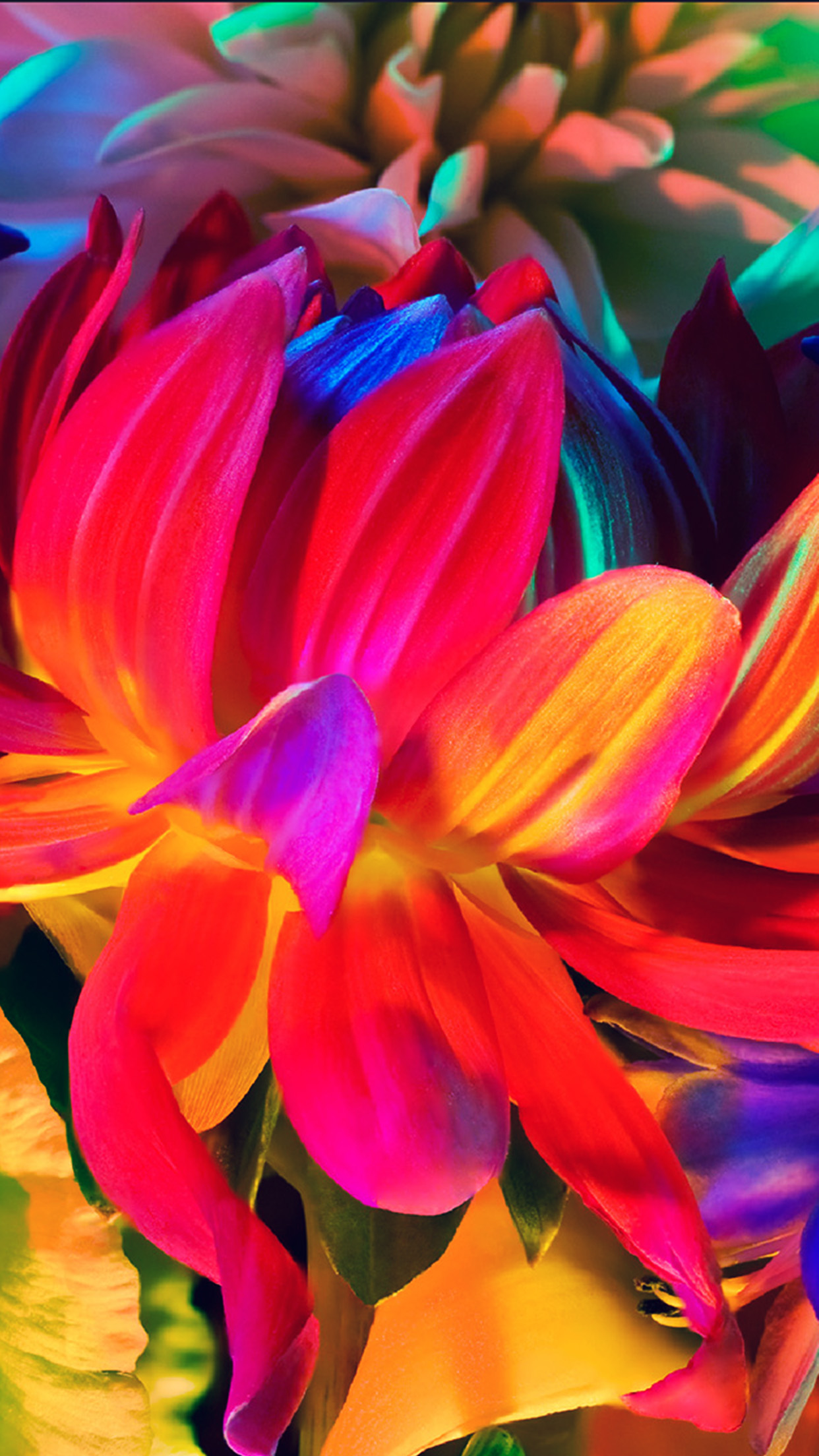 Apple Macbook Flower Rainbow Color Illustration Art - Show Color In Photography - HD Wallpaper 