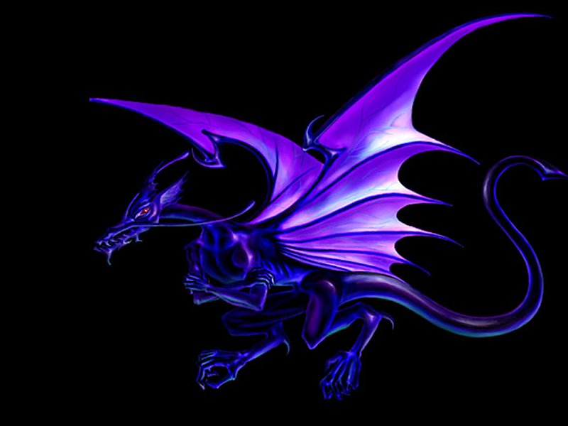 Purple Dragon Black Background - HD Wallpaper 