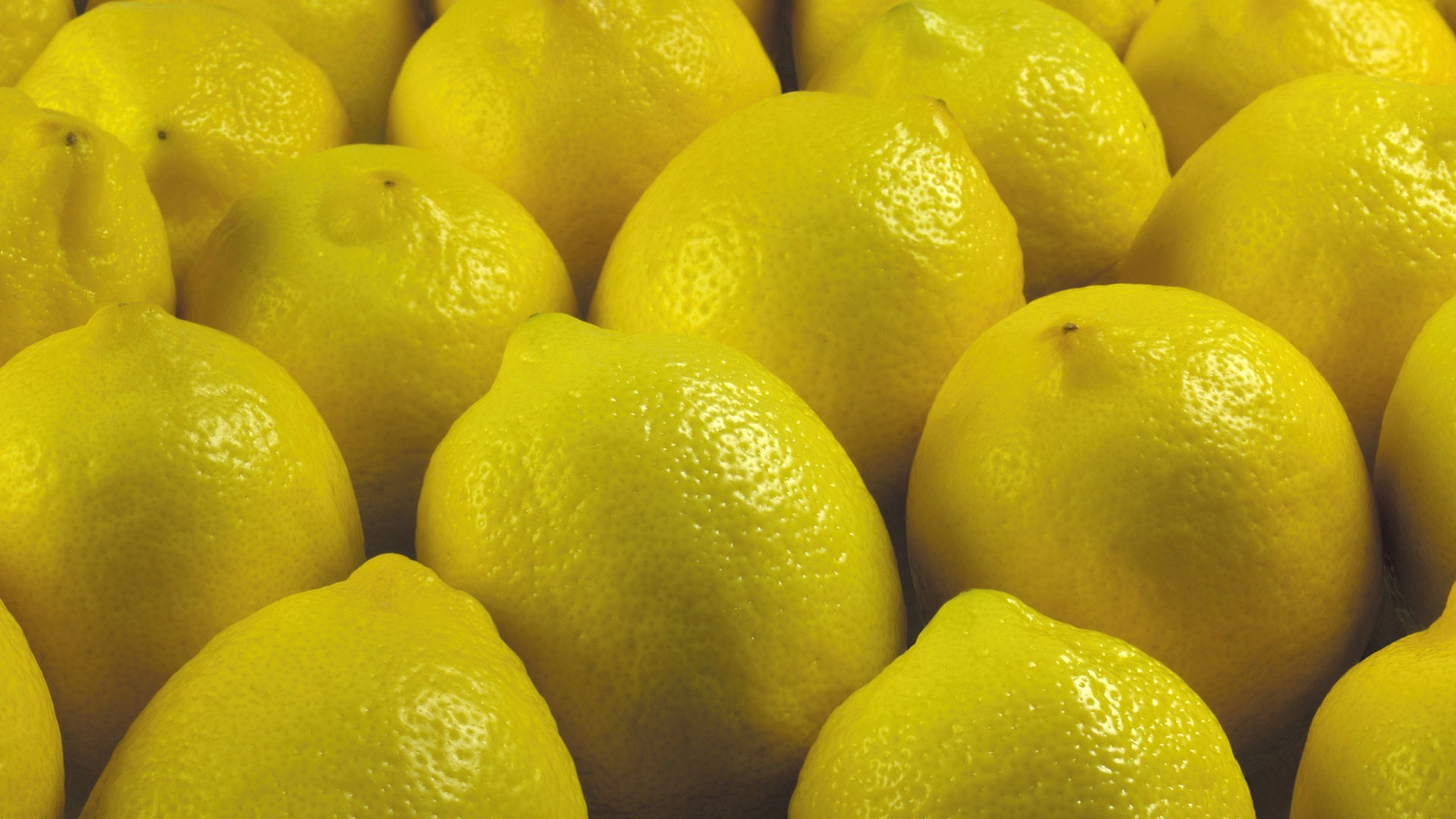 Wallpaper Lemon, Yellow, Fruit - Hd Lemons Screensaver - HD Wallpaper 