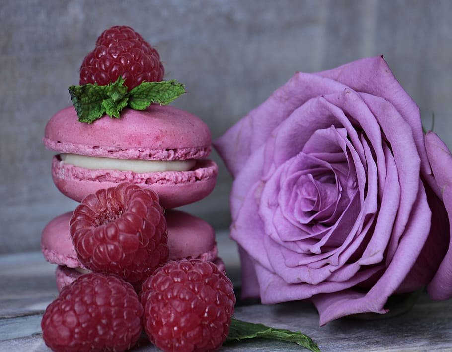 Pink Rose And Pink Macaroons, Macarons, Raspberries, - HD Wallpaper 