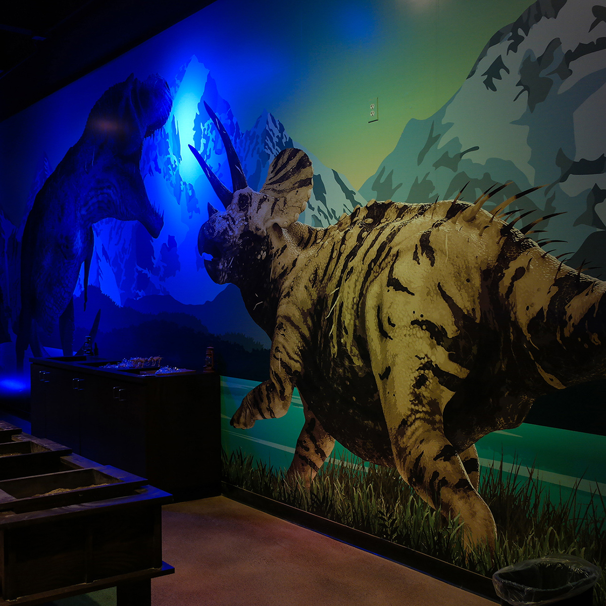 Custom Wallpaper - Siberian Tiger - HD Wallpaper 