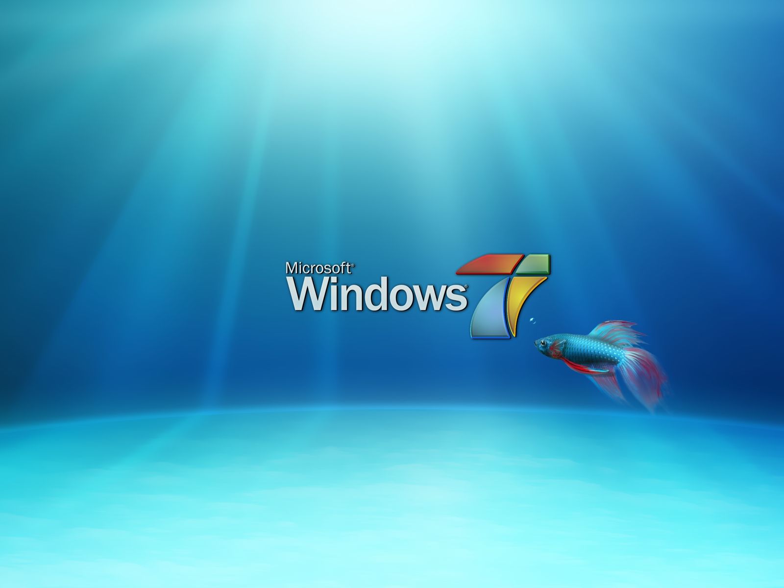 Windows 7 Desktop Backgrounds Group Data-src /img/658662 - Fish Wallpaper Windows 7 - 1600x1200 Wallpaper Windows 7 Desktop Backgrounds Group Data-src /img/658662 - Fish Wallpaper Windows 7 - 1600x1200 Wallpaper